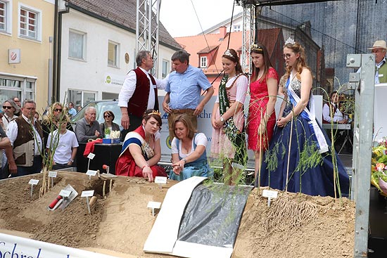 Spargelanstich auf dem Schrobenhausener Spargelmarkt(©Foto: Martin Schmitz)